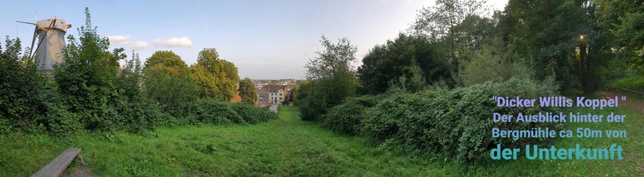 Willa Ferienhaus An Der Bergmuehle Flensburg Zewnętrze zdjęcie